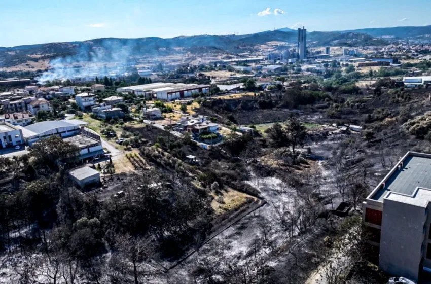  Κατσαφάδος:”Παρά πολλά τα ακαθάριστα οικόπεδα”- Ευθύνες οι δήμοι Ωραιόκαστρου και Παύλου Μελά