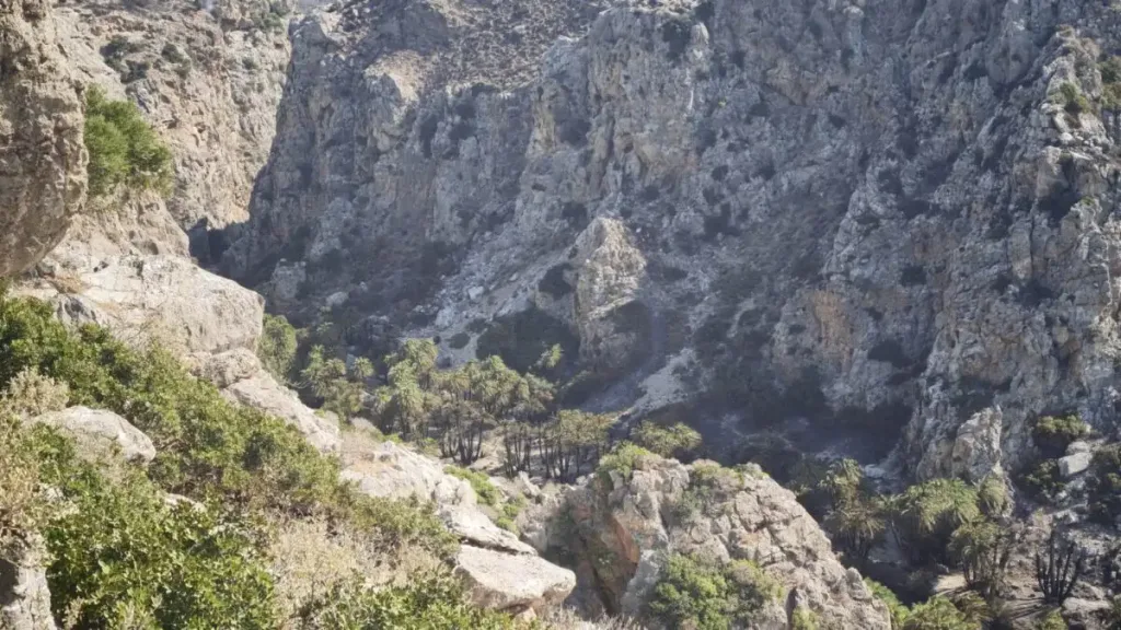 preveli rethymnos foinikodasos