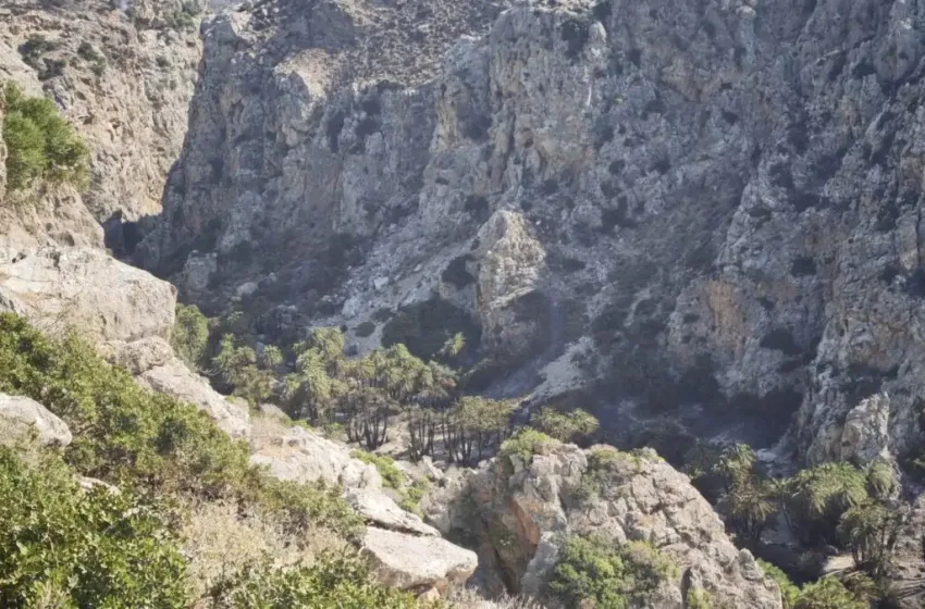  Ρέθυμνο: Περιορισμένες οι ζημιές στο Φοινικόδασος του Πρέβελη