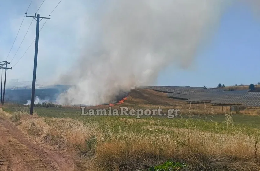  Φωτιά σε χαμηλή βλάστηση στη Φθιώτιδα- Επιχειρούν 6 εναέρια μέσα