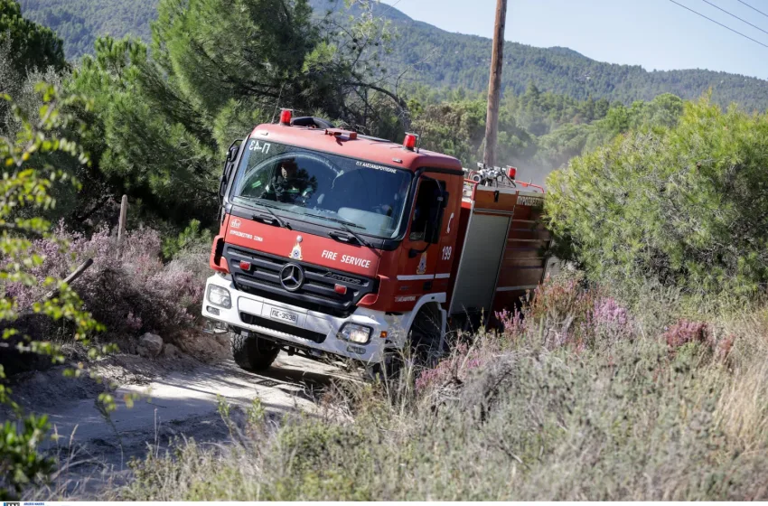  Φωτιά σε δασική περιοχή στον Μαρμαρά Χαλκιδική