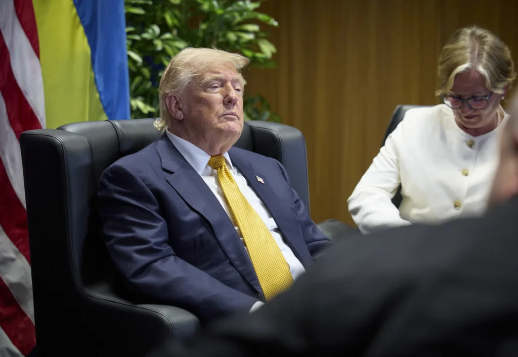 trump 7