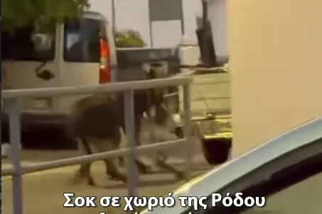 Στιγμιότυπο οθόνης 2026 07 30 144444