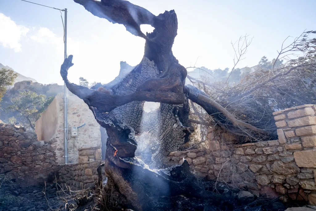 πυρκαγια κρητη ρεθυμνο