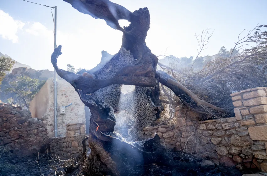 Δραματική νύχτα στο Ρέθυμνο-Στάχτη το 80% του φοινικόδασους Πρέβελης–Αναζωπύρωση στην Πάρο και την Κάλυμνο