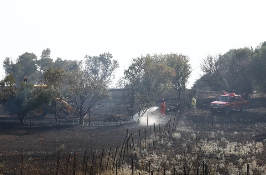  Φωτιές στο Ωραιόκαστρο και στην Πυλαία Θεσσαλονίκης – Μάχη με τις φλόγες από τους πυροσβέστες