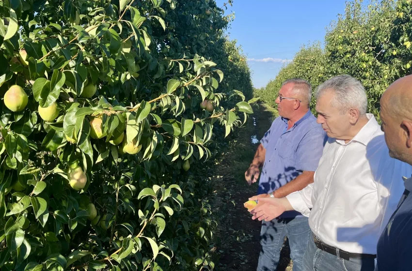  Χαρακόπουλος: “Κανένας παραγωγός δεν θα μείνει μόνος του”