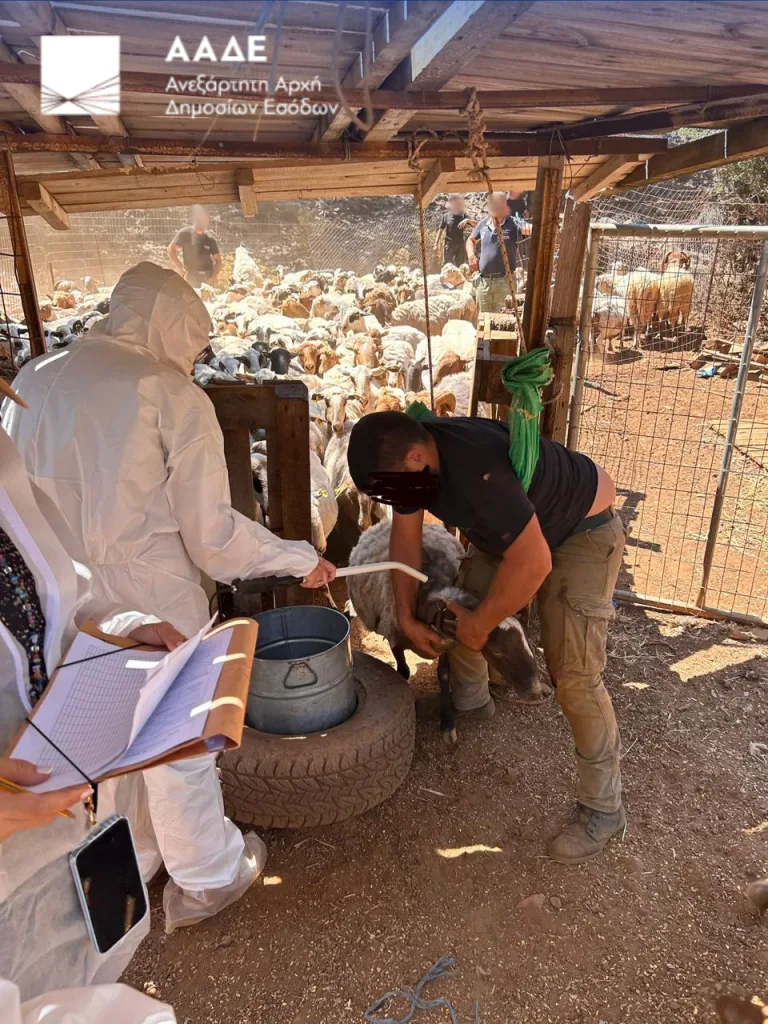 ΑΑΔΕ: Έλεγχος στην Κρήτη για αγροτικές επιδοτήσεις-120 από τους 195 κτηνοτρόφους δεν προσήλθαν 4 1 2