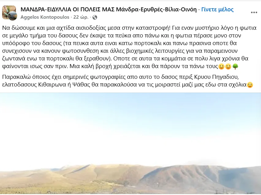 Δυτική Αττική: Αναζωπυρώσεις και καπνογόνα σημεία-Η συμβολή αντιπυρικών ζωνών και antinero στην αντιμετώπιση της μεγάλης φωτιάς 3 1 8