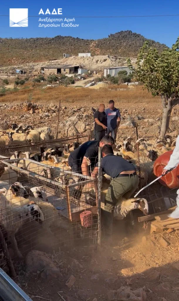 ΑΑΔΕ: Έλεγχος στην Κρήτη για αγροτικές επιδοτήσεις-120 από τους 195 κτηνοτρόφους δεν προσήλθαν 5 2 1