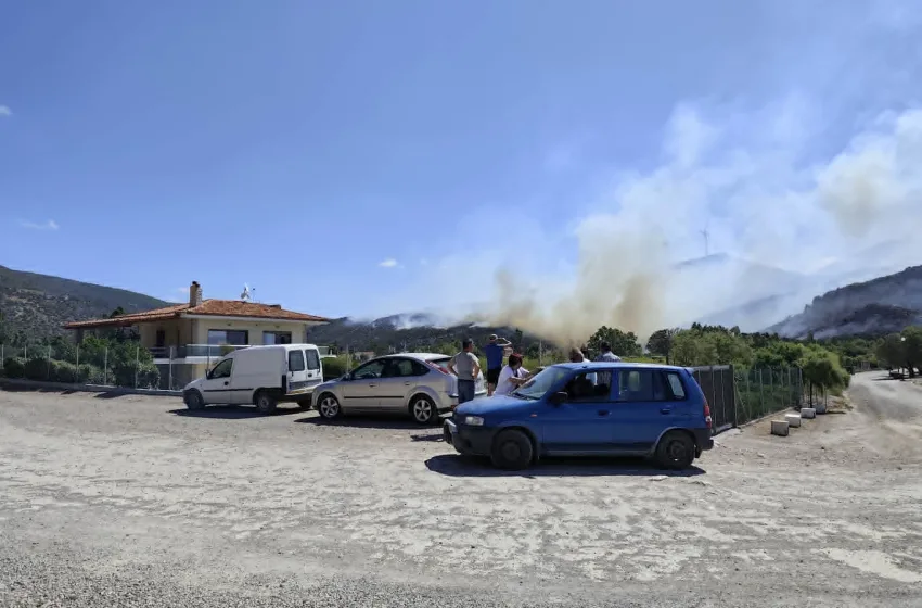 Βοιωτία: Εικόνες και βίντεο από τη Λιβαδόστρα- Αναζωπύρωση και εκκένωση της περιοχής