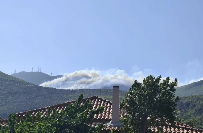  Άγιος Βασίλης: Δύο συλλήψεις για τη μεγάλη φωτιά στη Βοιωτία- Ξεκίνησε από ανεμογεννήτρια