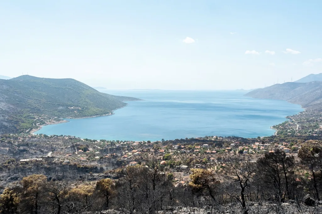 Μαρτυρίες κατοίκων: Θλίψη και απόγνωση στα αποκαΐδια-Το Πόρτο Γερμενό δεν θα είναι ποτέ το ίδιο-Πού επικεντρώνονται οι κρατικές προσπάθειες 5 7051262 1
