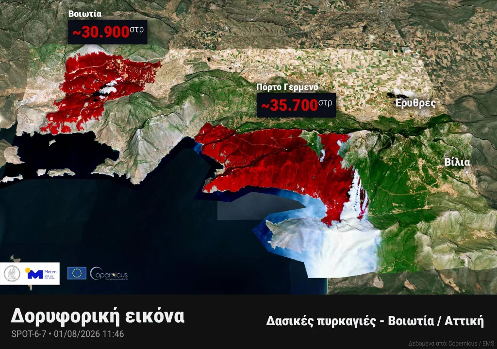 Πύρινος εφιάλτης σε Αττική-Βοιωτία:Κρίσιμες ώρες για Βένιζα και Ψάθα-Περισσότερα από 65.000 στρέμματα καμένα 4 761653433 2881982458833773 4618354773860609183 n