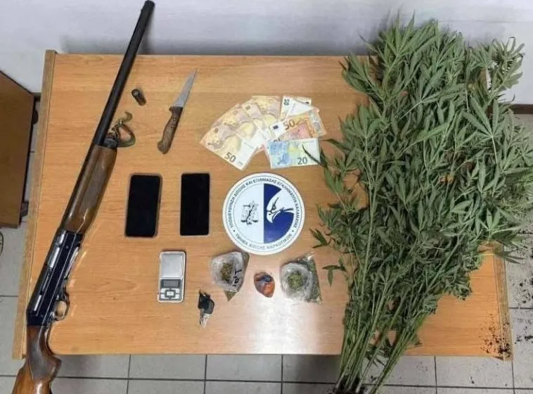  Μεσσηνία: Φυτεία με 267 δενδρύλλια κάνναβης–Τρεις συλλήψεις