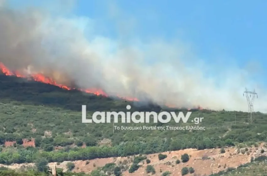  Φωτιά στην Καμηλόβρυση Λαμίας-Επιχειρούν 4 εναέρια μέσα (vid)