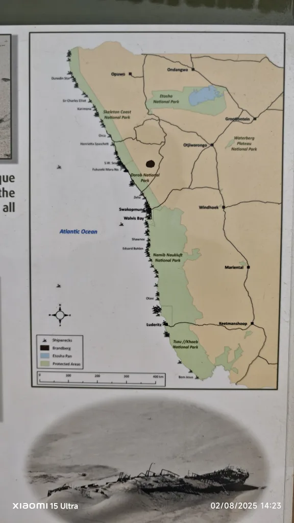 Cape Cross- Ναμίμπια/ Εκεί που 200.000 φώκιες "μονομαχούν" με το κύμα (εικόνες) 16 MVIMG 20250802 142340