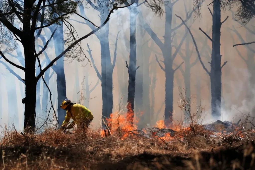 WILDFIRE IN SPAIN
