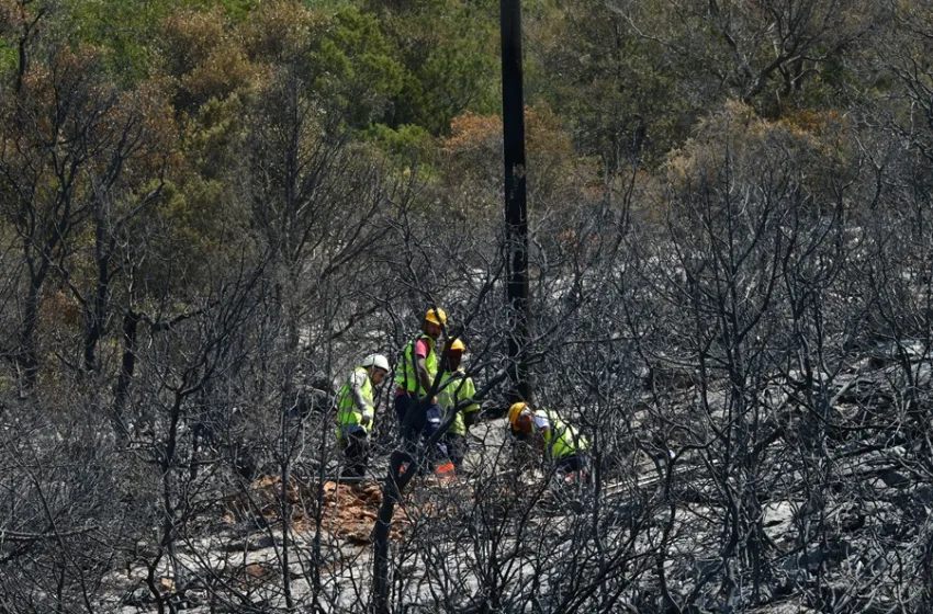  Φωτιά στην Αττικοβοιωτία: Εντοπίστηκαν σοβαρές κατασκευαστικές αστοχίες στο αιολικό πάρκο