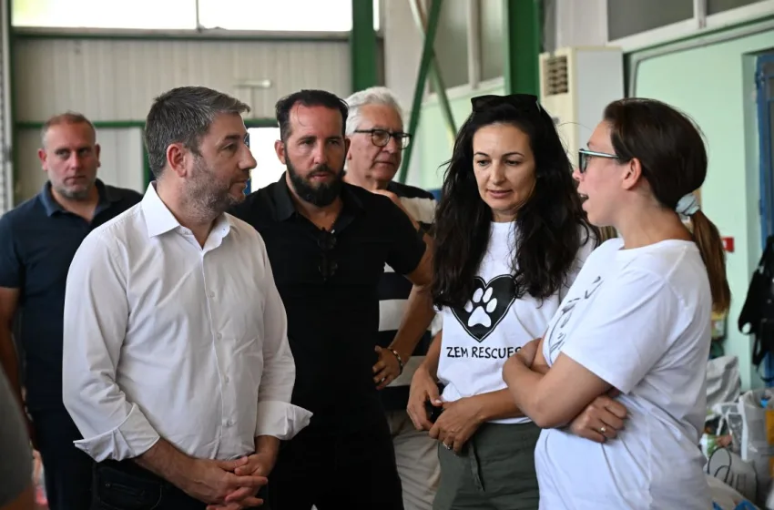  Ανδρουλάκης: Επισκέφτηκε τον σταθμό φιλοξενίας πυρόκληκτων ζώων στα Μέγαρα