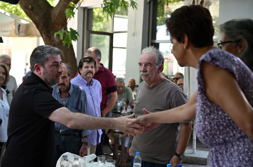  Ανδρουλάκης για φωτιές: Δεν μπορεί να είναι άλλοθι η κλιματική αλλαγή στις αδυναμίες του κρατικού μηχανισμού