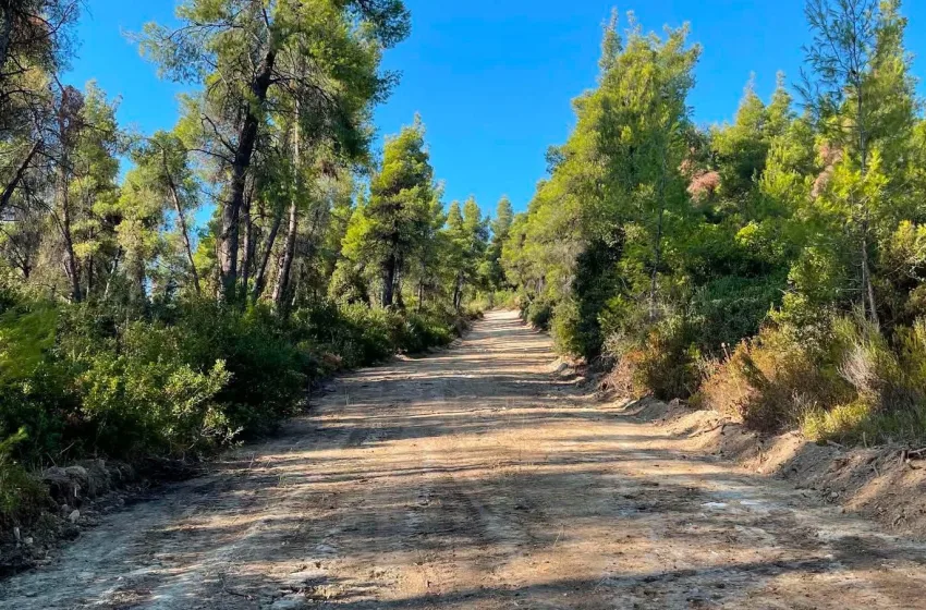  ΠΟΓΕΔΥ: Η συμβολή του Antinero αναγνωρίστηκε καθολικά