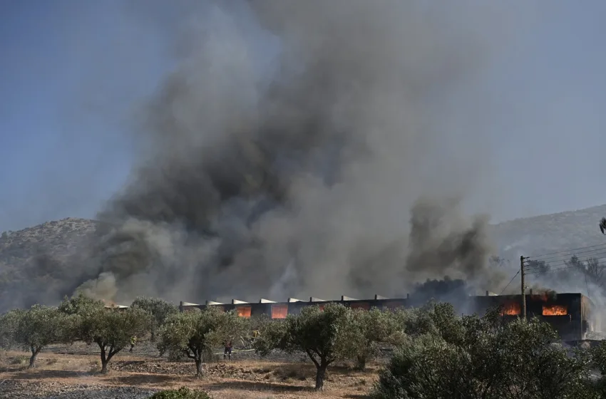  Φωτιά Κουβαράς: Κάηκαν κτηνοτροφικές μονάδες και οχήματα- Βελτιωμένη η εικόνα