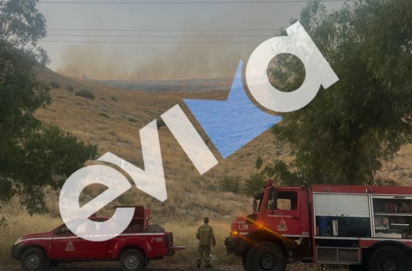  Φωτιά σε χαμηλή βλάστηση έξω από τη Χαλκίδα (vid)