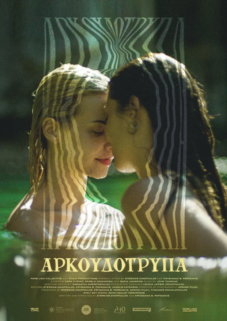 Αιγιάλεια: Καταγγελίες για "ομοφοβική επίθεση" για την "Αρκουδότρυπα"- Ακυρώθηκε η προβολή της ταινίας 2 image 27