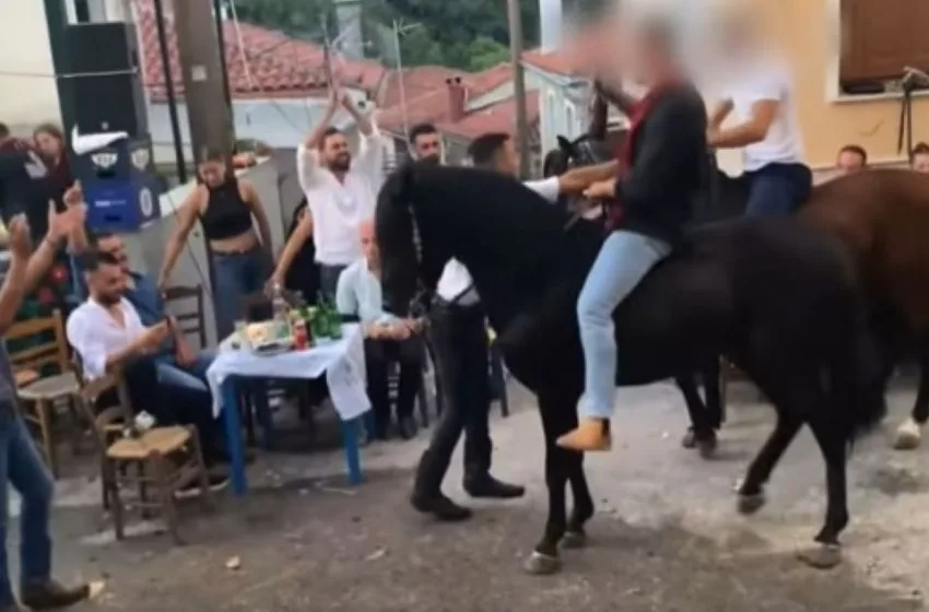  Μυτιλήνη: Έντονες αντιδράσεις με άλογα που περπατούν σε σπασμένα γυαλιά σε πανηγύρι
