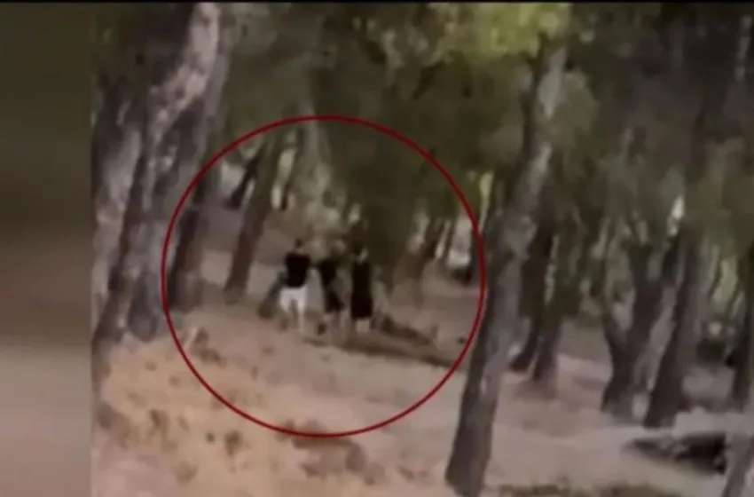  Πεντέλη: Παραπέμπονται οι έφηβοι για απόπειρα εμπρησμού – Ζήτησαν συγγνώμη – Σε δίκη παραπέμπονται και οι γονείς τους