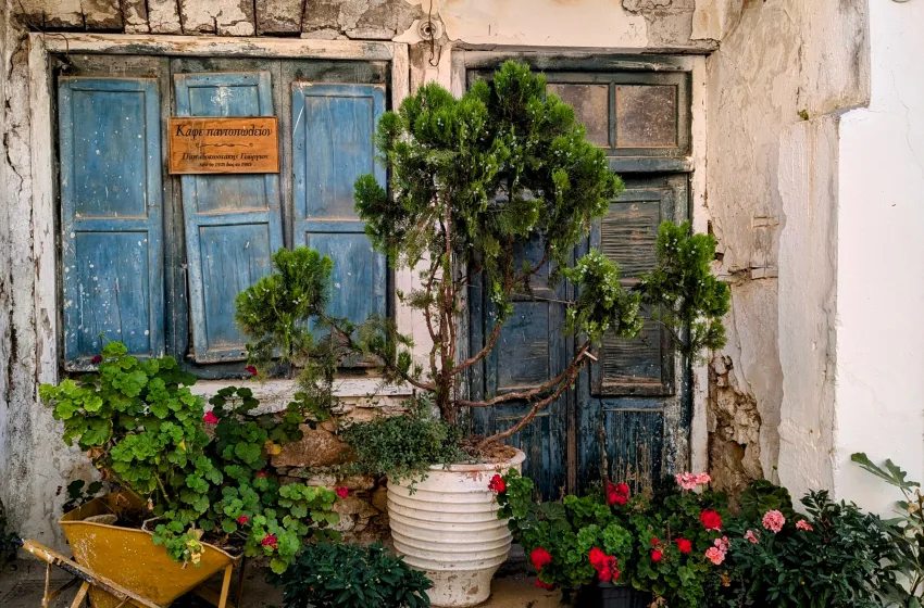  Πέλλα: 51χρονος έκλεψε από την αυλή σπιτιού γλάστρες αξίας 12.500 ευρώ