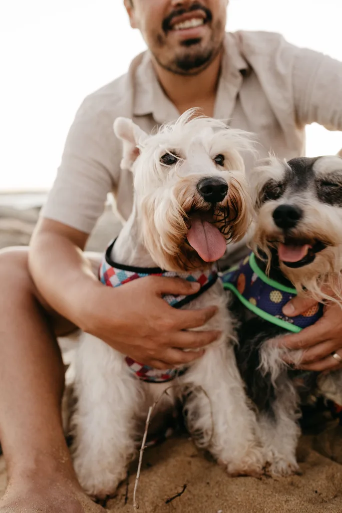 "Fur babies": Όταν (και γιατί) τα κατοικίδια γίνονται τα... "μωρά" μας 12 pexels jonathanborba 11933172