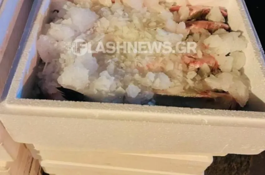  Σούδα: Έκλεβαν ψάρια από ιχθυοκαλλιέργεια,  κατασχέθηκαν 210 κιλά-2 συλλήψεις