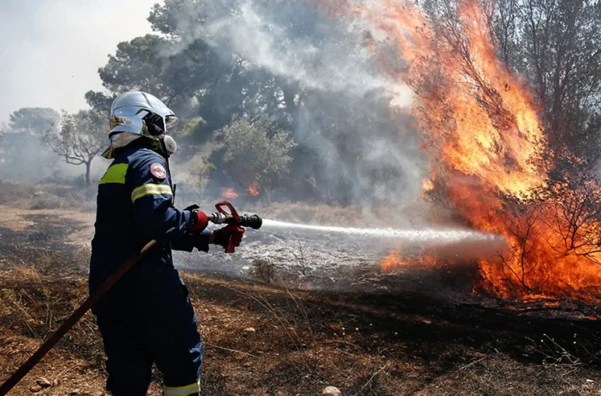  Λευτέρης Φραγκιουδάκης στο libre/ Δασοπυρκαγιές: Το μέγα εθνικό πρόβλημα