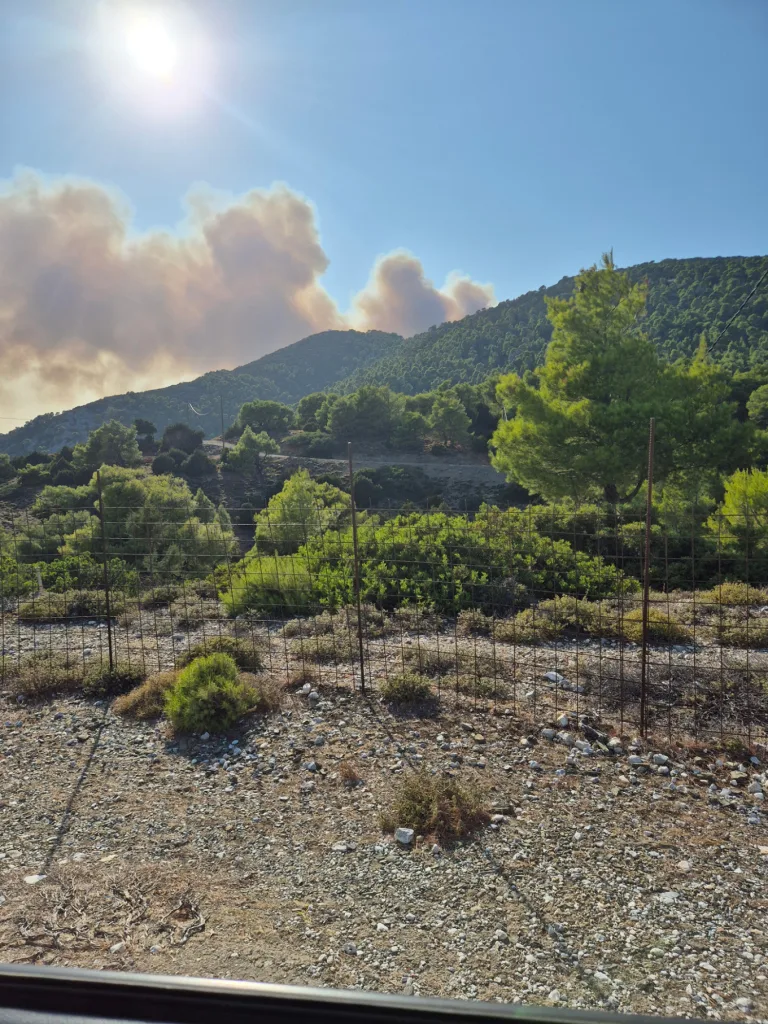 Φωτιά σε δασική έκταση στη Σκύρο-112 για εκκένωση Πεύκου και Αγίου Φωκά-Επιχειρούν 10 εναέρια Μέσα 2 skyros fotia 1