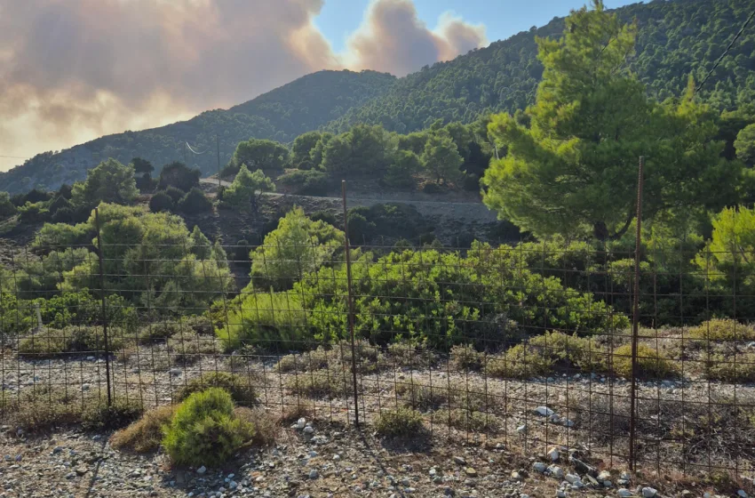  Χειροπέδες σε τέσσερα άτομα για πρόκληση φωτιάς σε Αθήνα, Καλαμάτα, Εύβοια και Χίο