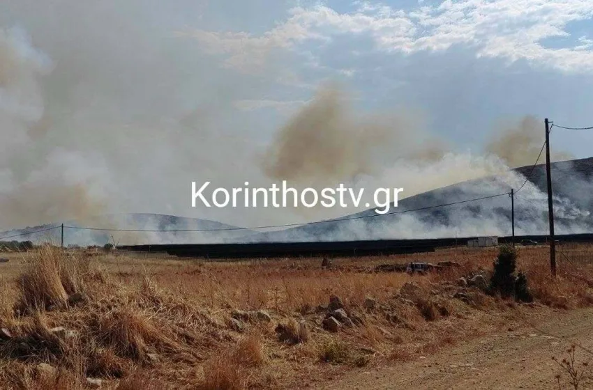  Χωρίς ενεργό μέτωπο η φωτιά στο Στεφάνι Κορινθίας