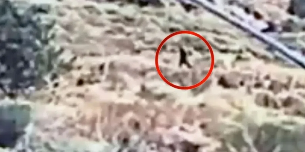video ebristis rethymno.jpg