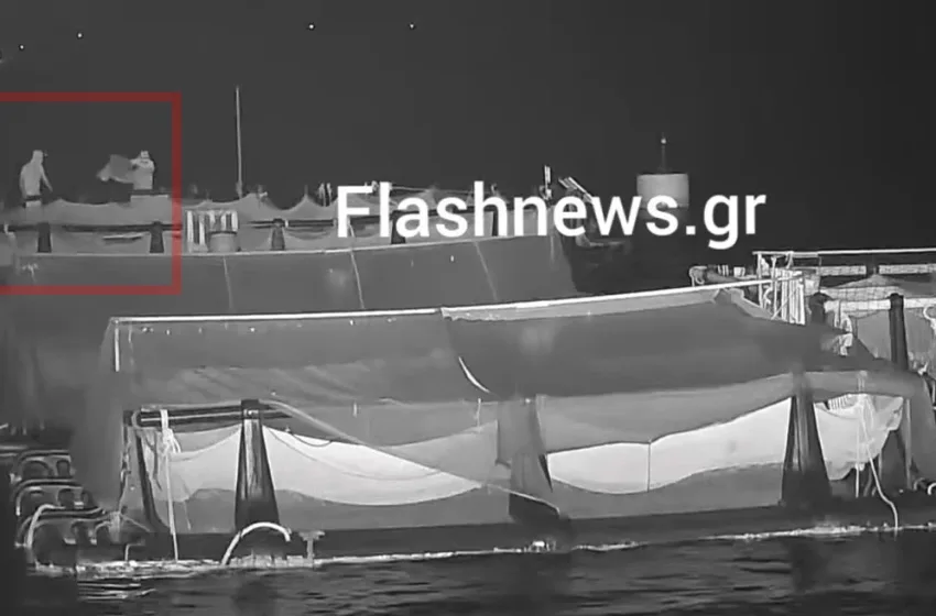  Η στιγμή που δράστες κλέβουν ψάρια από την ιχθυοκαλλιέργεια στην Σούδα (vid)