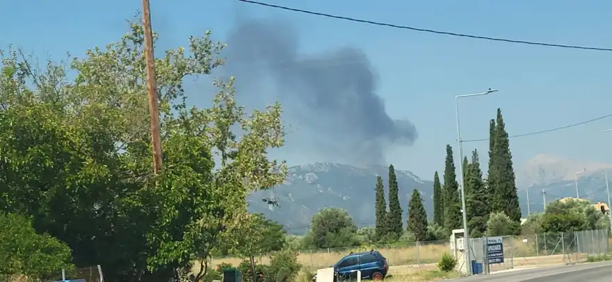 whatsapp image 2026 08 18 at 10 54 06
