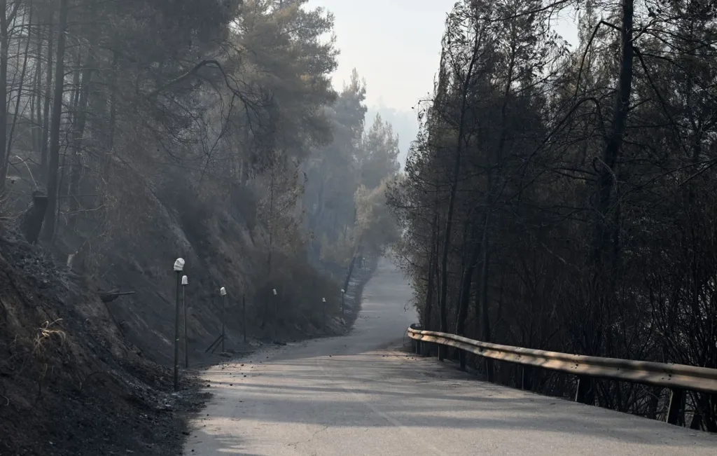 xalkidiki 2