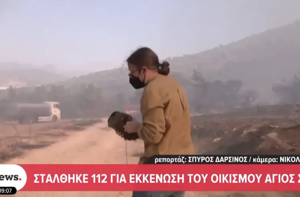 xelona fotia 0.jpg