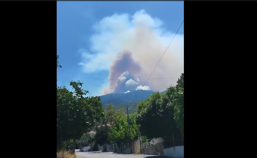Στιγμιότυπο οθόνης 2026 08 03 141647