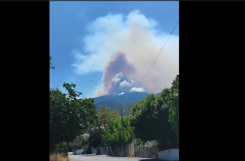  Πλαταιές: Φωτιά στην Αγία Τριάδα(vid)