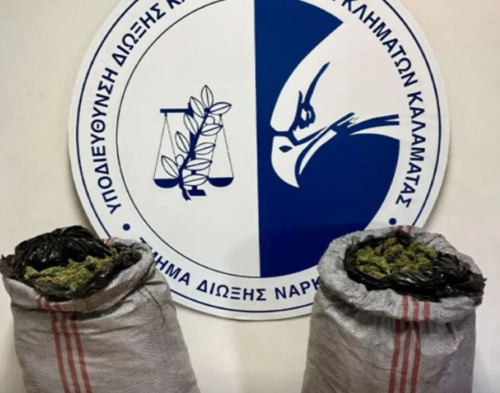Στιγμιότυπο οθόνης 2026 08 11 194719