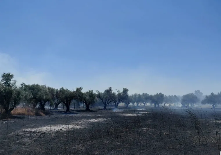 Στιγμιότυπο οθόνης 2026 08 13 164519