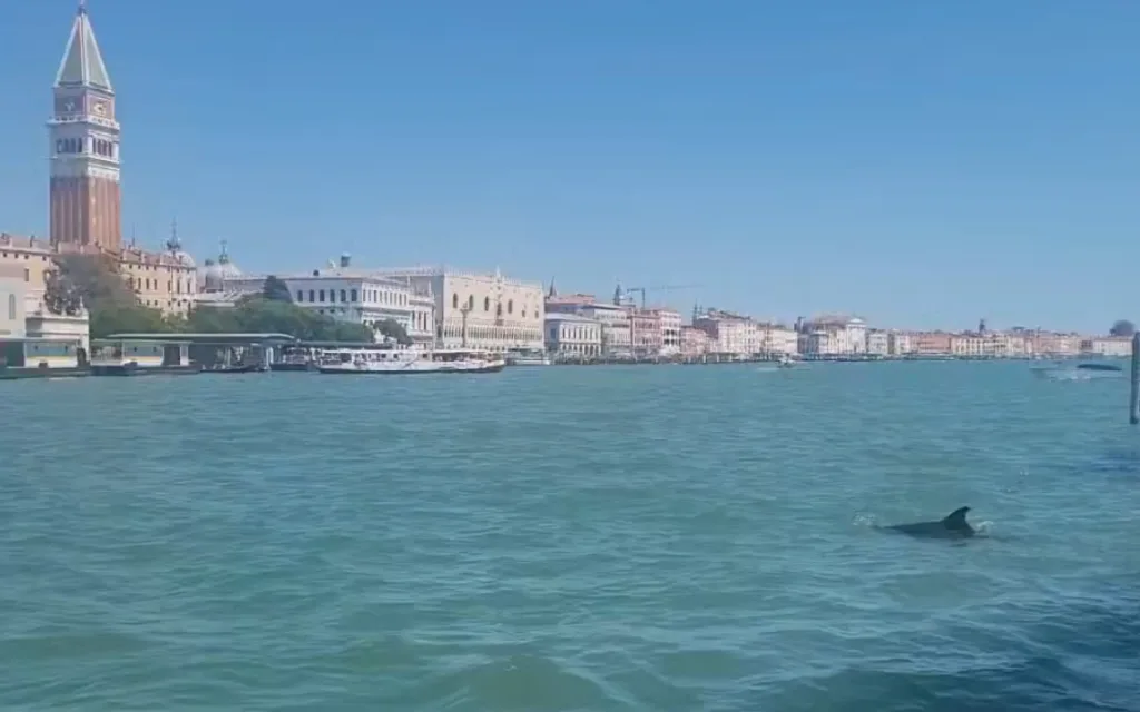 Στιγμιότυπο οθόνης 2026 08 14 161810