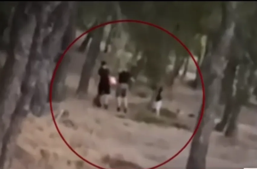  Βριλήσσια: Ταυτοποιήθηκαν τρεις 13χρονοι που  έβαζαν φωτιές στο δάσος για “challenge”