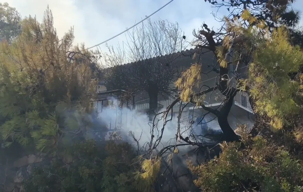 Φωτιά στη Σαλαμίνα:Εντοπίστηκαν 2 σοροί-Καίγονται σπίτια-Μπαράζ 112 για εκκένωση-Εννέα με εγκαύματα 7 Στιγμιότυπο οθόνης 2026 08 16 171359